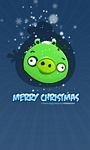 pic for Green Piggi Merry Chirstmas 768x1280